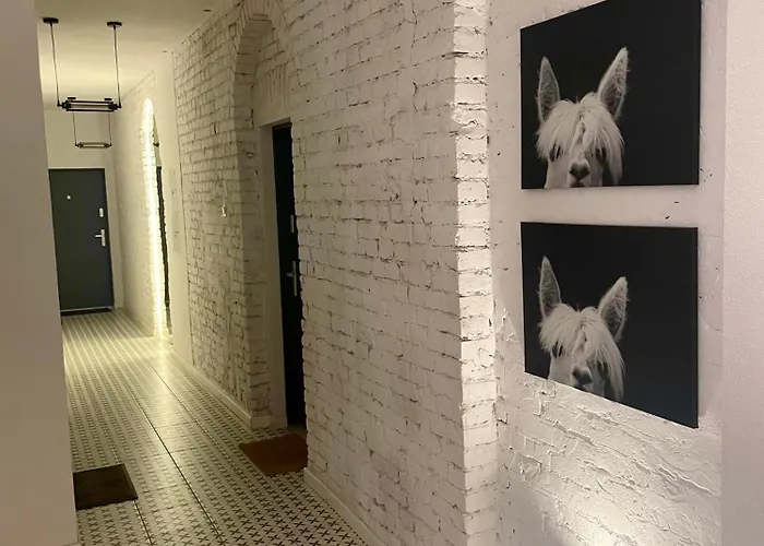 Szmaragdowa Sowa Appartement Wałbrzych