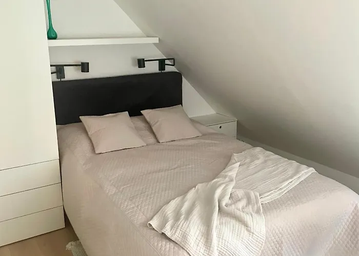 Szmaragdowa Sowa Apartment *